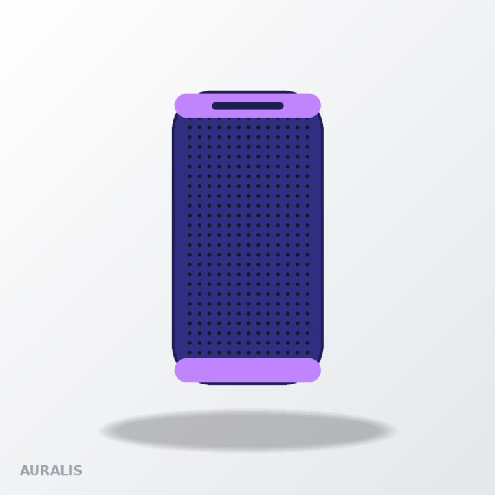 Auralis Boom Bluetooth Speaker